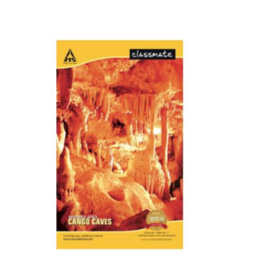 Classmate Notebook (200 pages, 1 book)